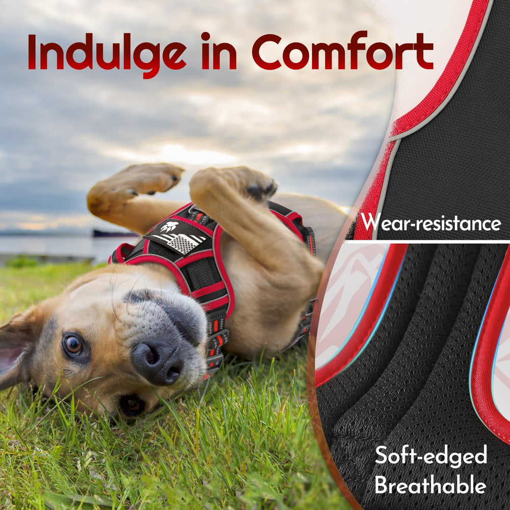 Eagloo soft mesh lining keeps dogs cool during all-day wear