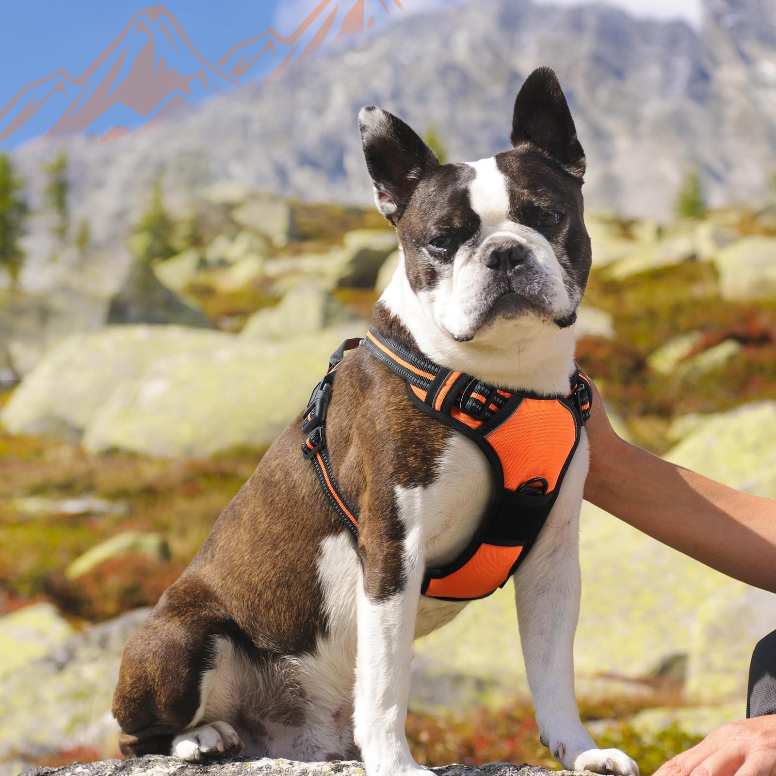 Eagloo dog harness medium quick-snap buckles for simple wearing
