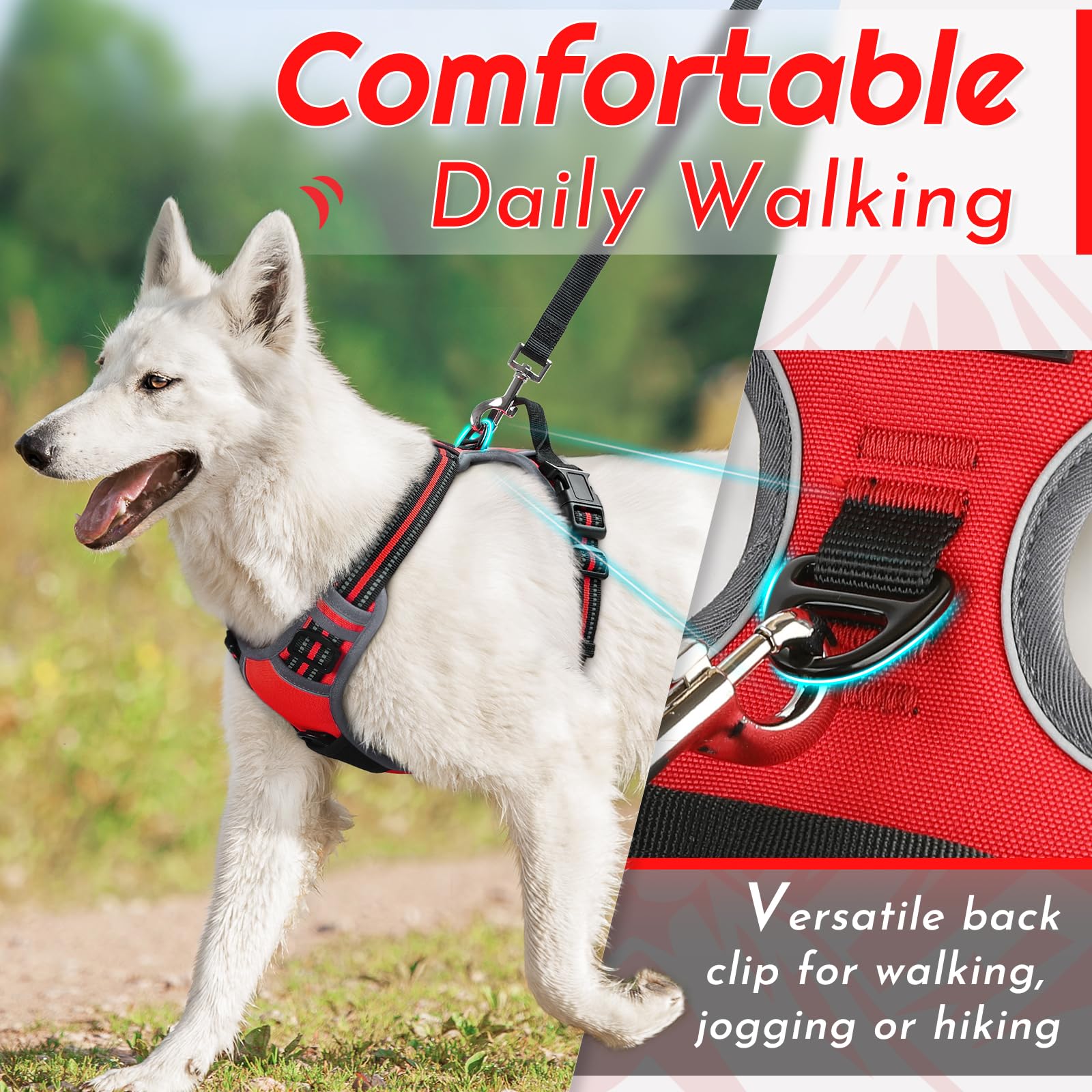 Eagloo dog harness no-pull design with two metal rings for reliable leash control