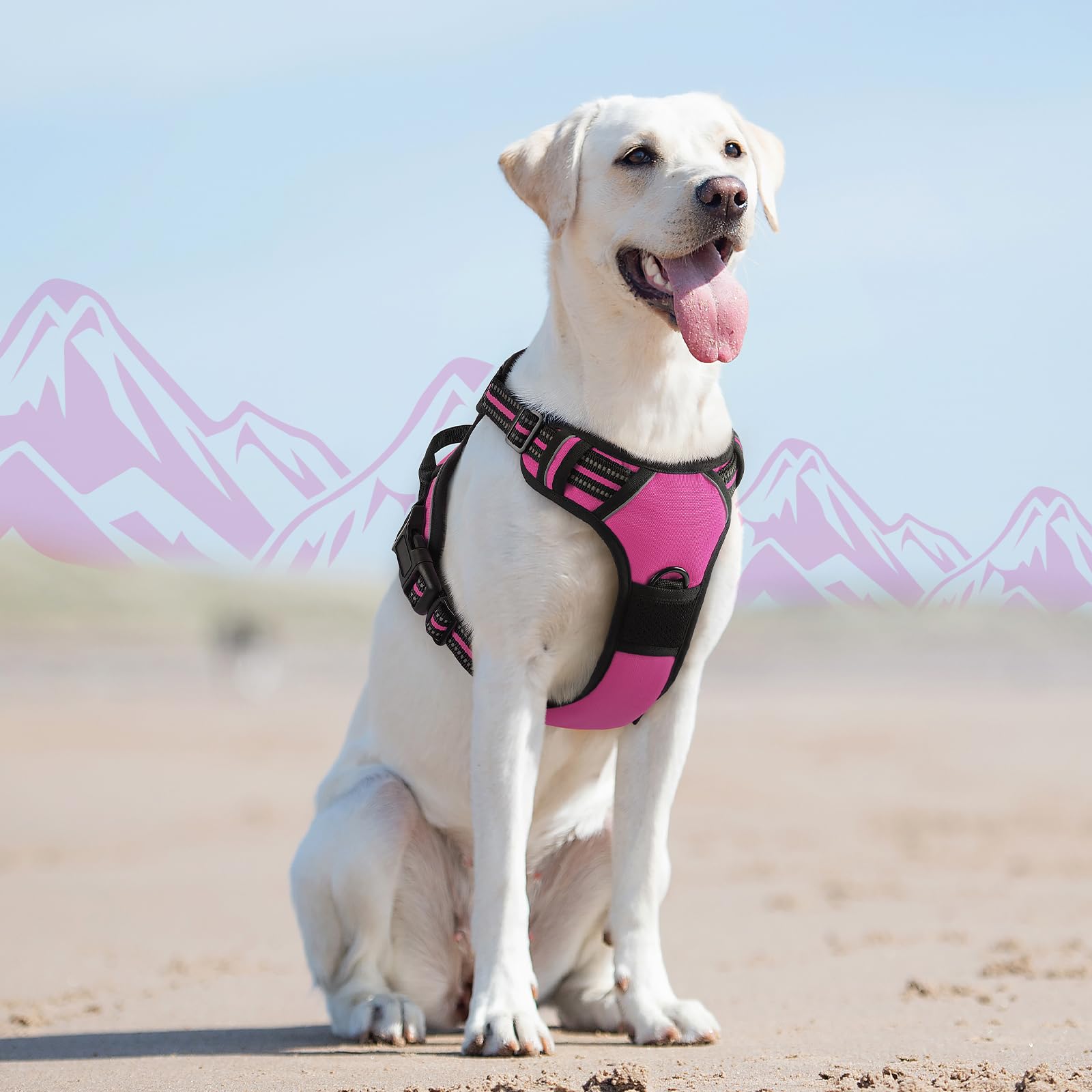 Eagloo dog harness rose red reinforced stitching ensures durable use.