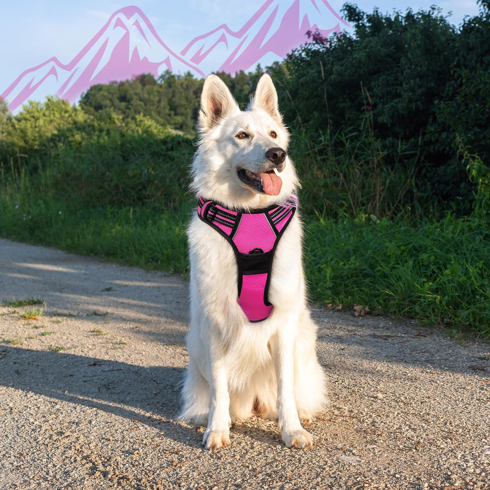 Eagloo rose red XL harness worn on a dog during a walk