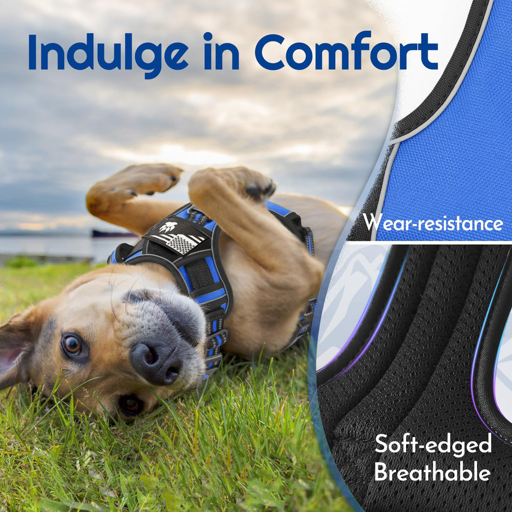 Eagloo dog harness small adjustable straps provide a customizable, growing fit