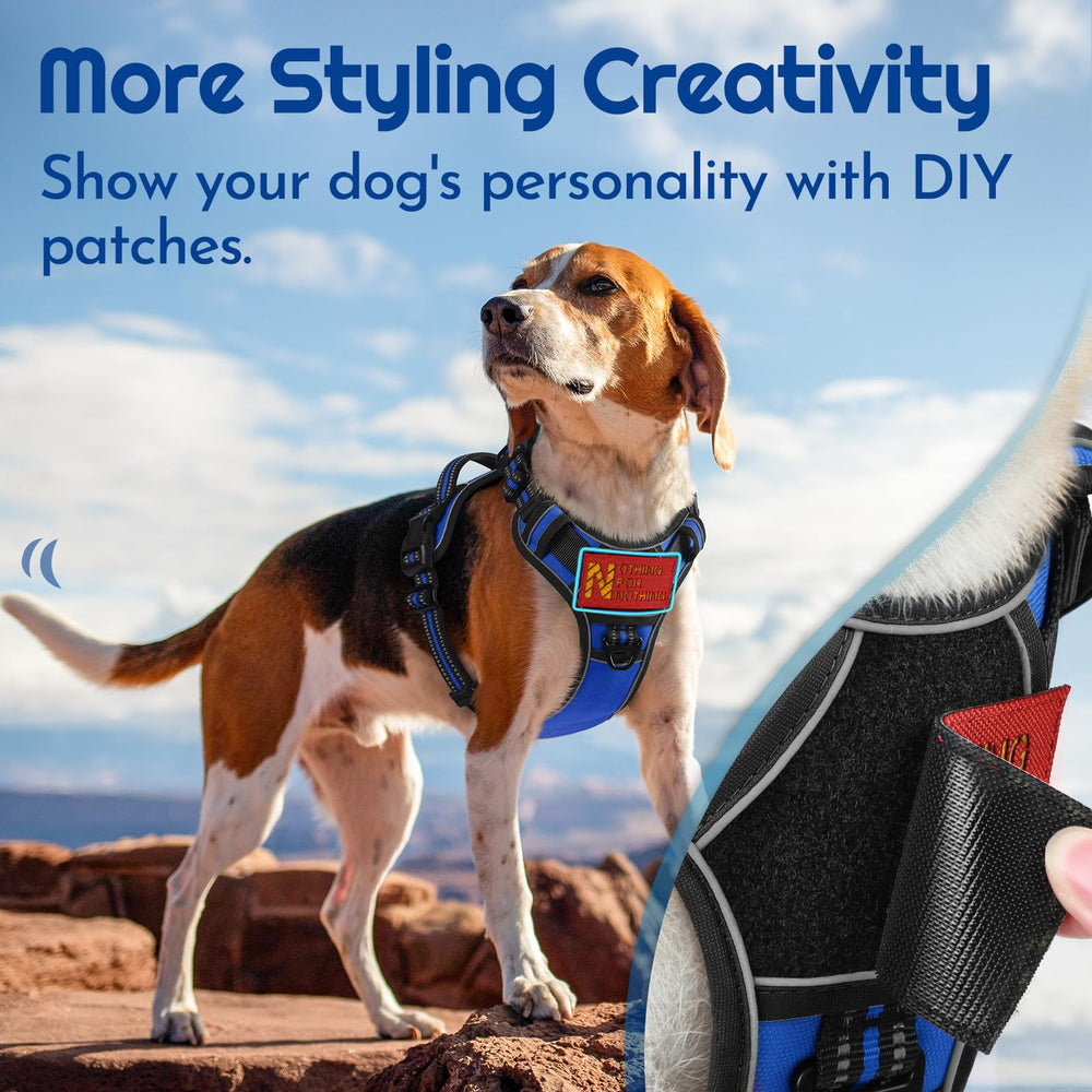 Eagloo dog harness small reflective strips boost visibility during night walks
