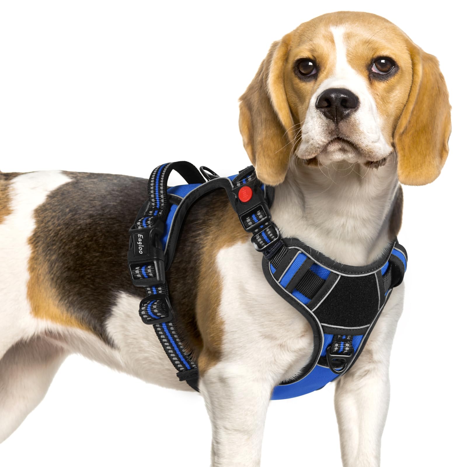 Eagloo dog harness small with three buckles for quick on/off during walks