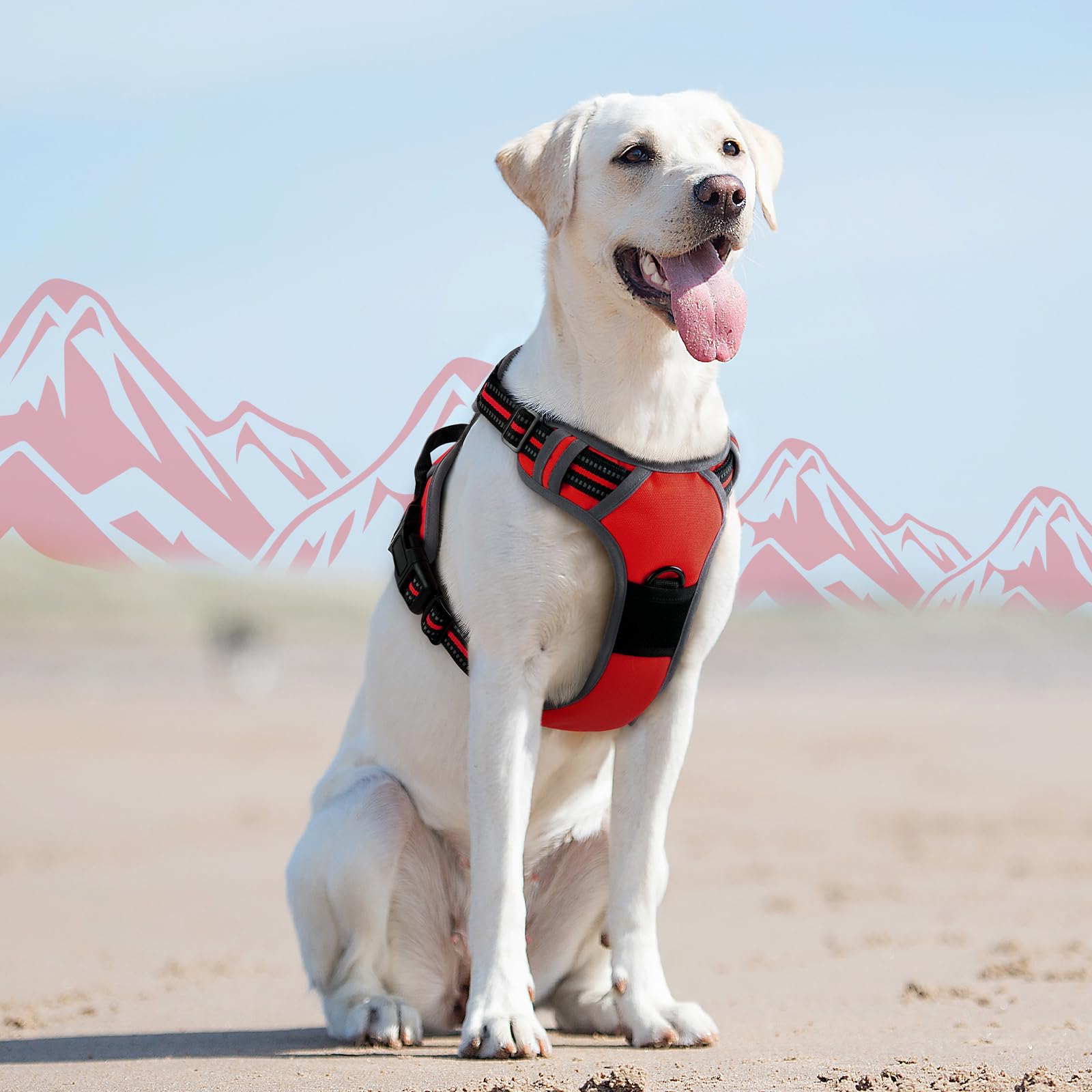 Eagloo dog harness padded chest area for comfortable all-day wear