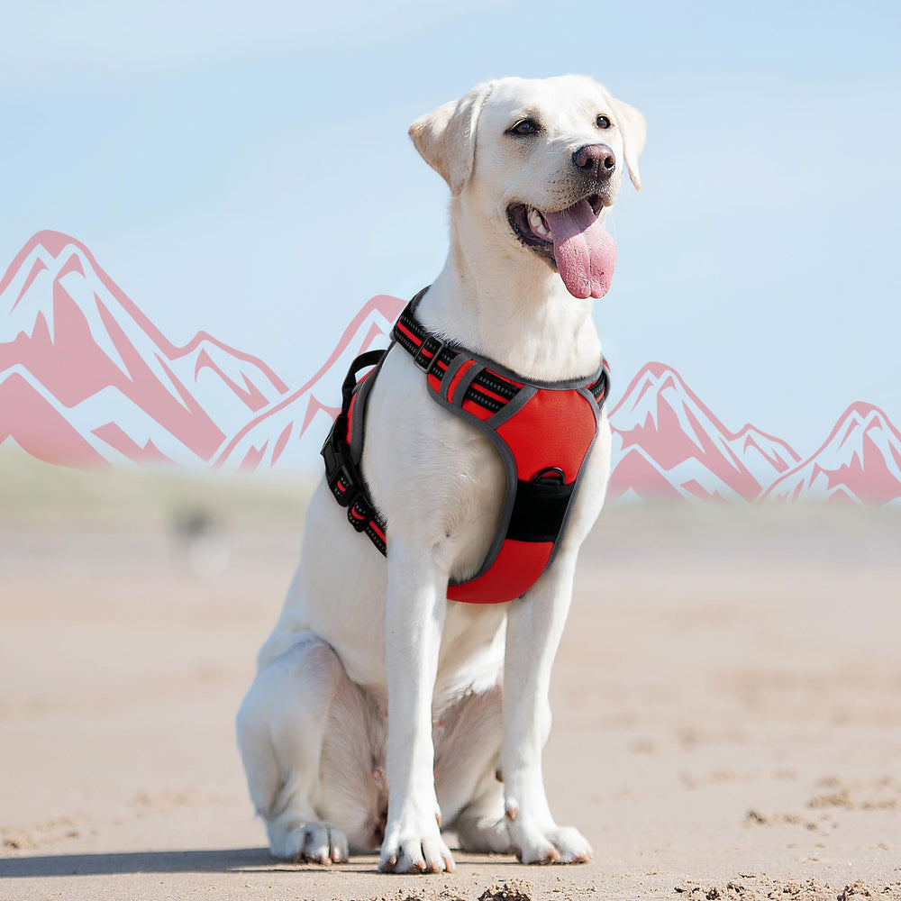Eagloo dog harness padded chest area for comfortable all-day wear