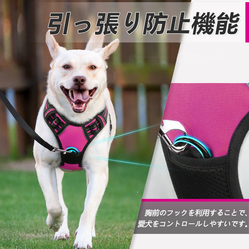Eagloo dog harness in use during a walking scene.