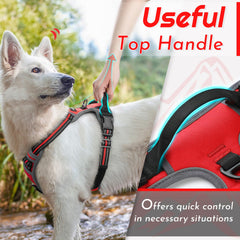 Eagloo XL chest ring and heel guidance for training.