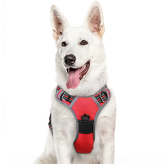 Eagloo XL no-pull back view shows easy control during walks.