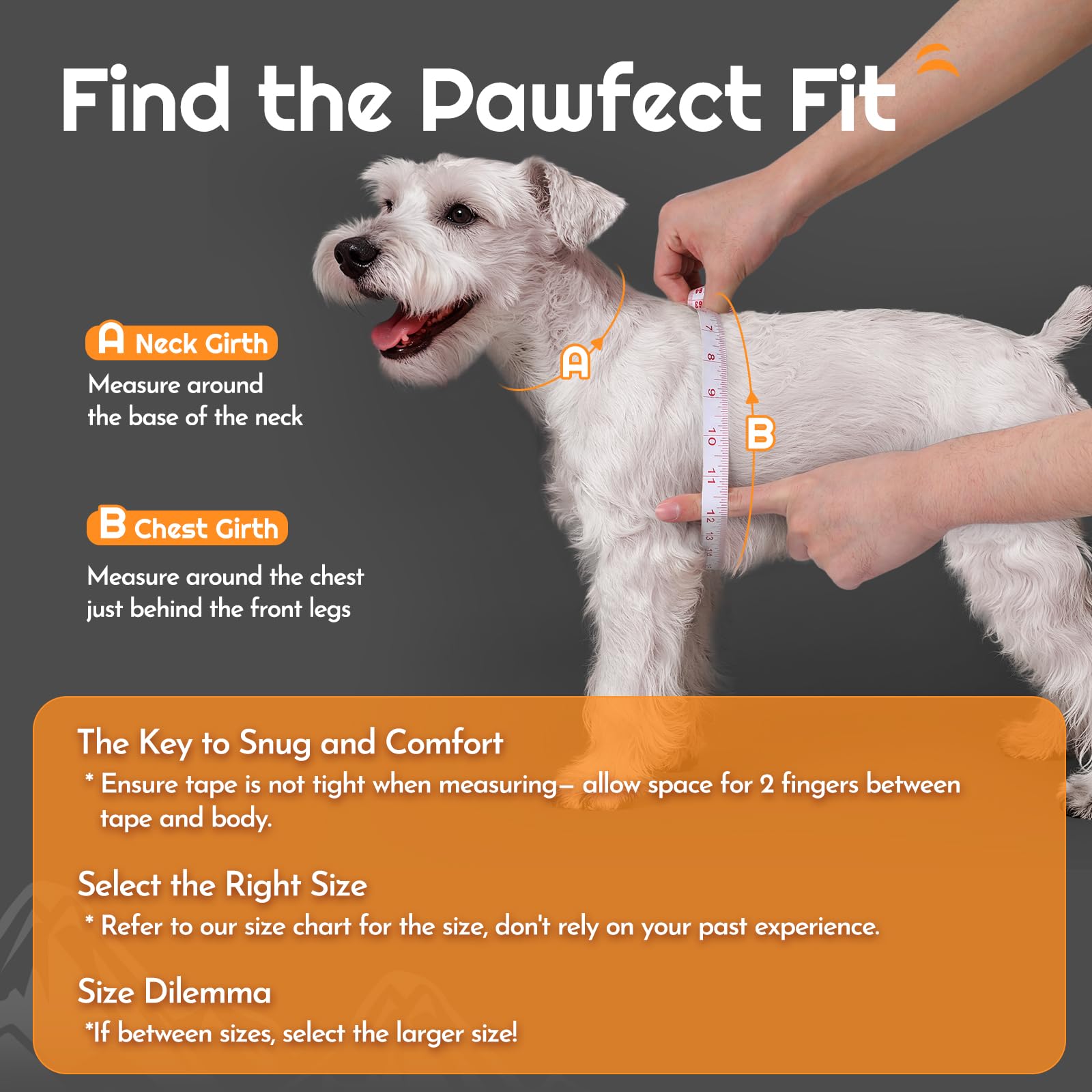 Eagloo 5.1ft gray leash paired with harness supports controlled strolls