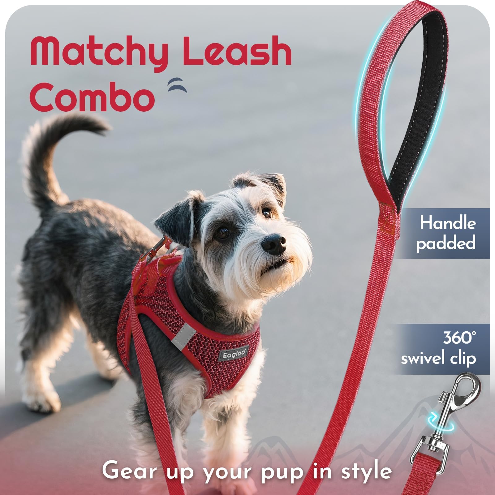 Eagloo harness back D-rings provide secure leash attachment in moments