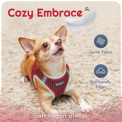 Eagloo 5.1ft leash with anti-tangle clip enables relaxed leash freedom