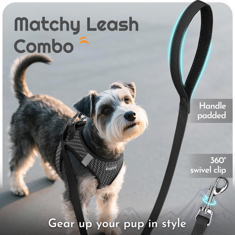 Eagloo magic-tape closure on harness enables quick, secure fit