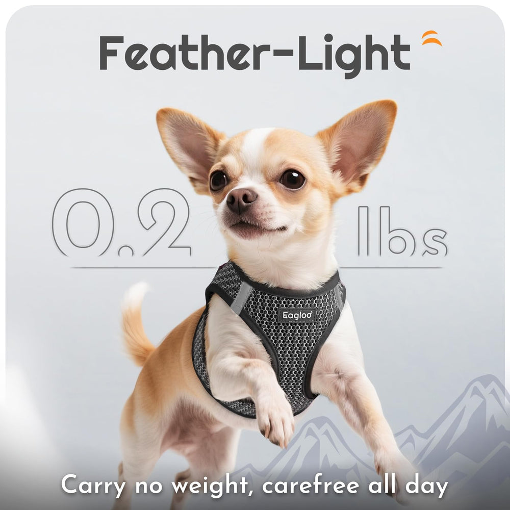 Eagloo padded-handle leash gray provides comfortable grip during walks