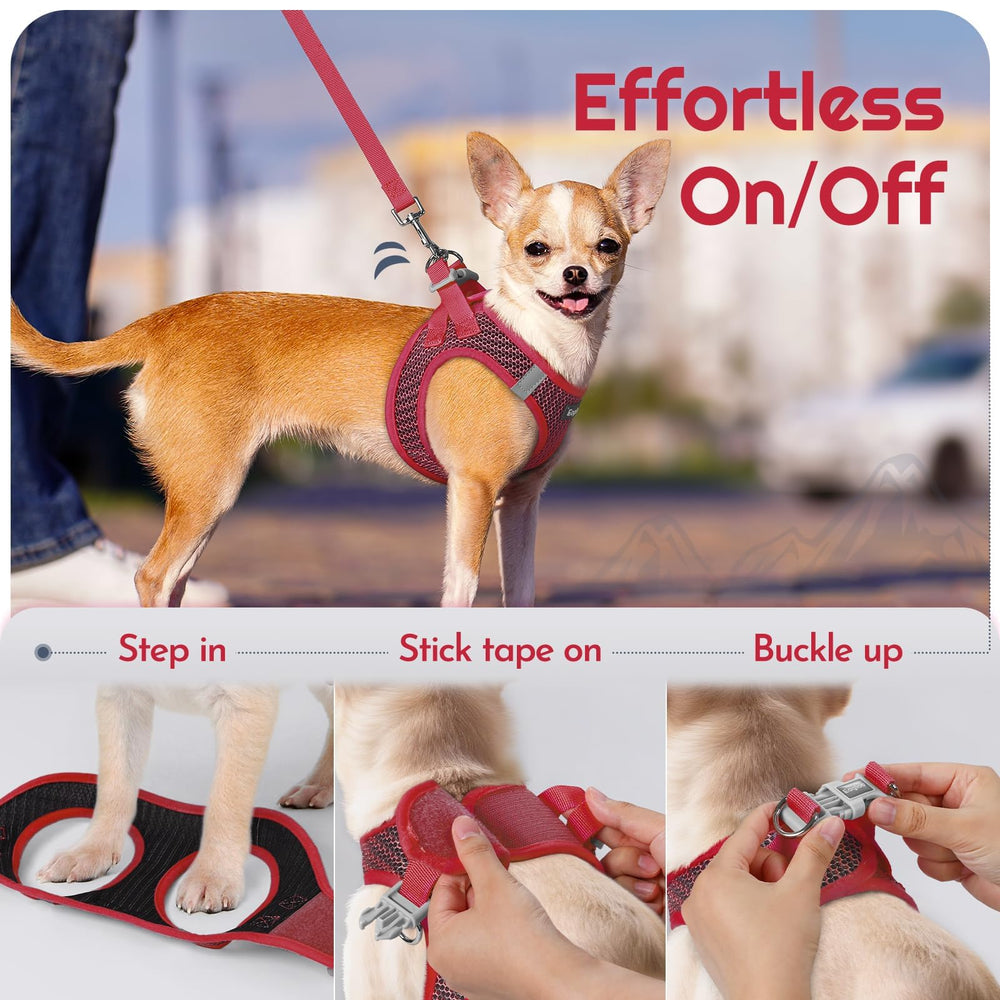 Eagloo padded handle on leash offers comfortable grip during walks