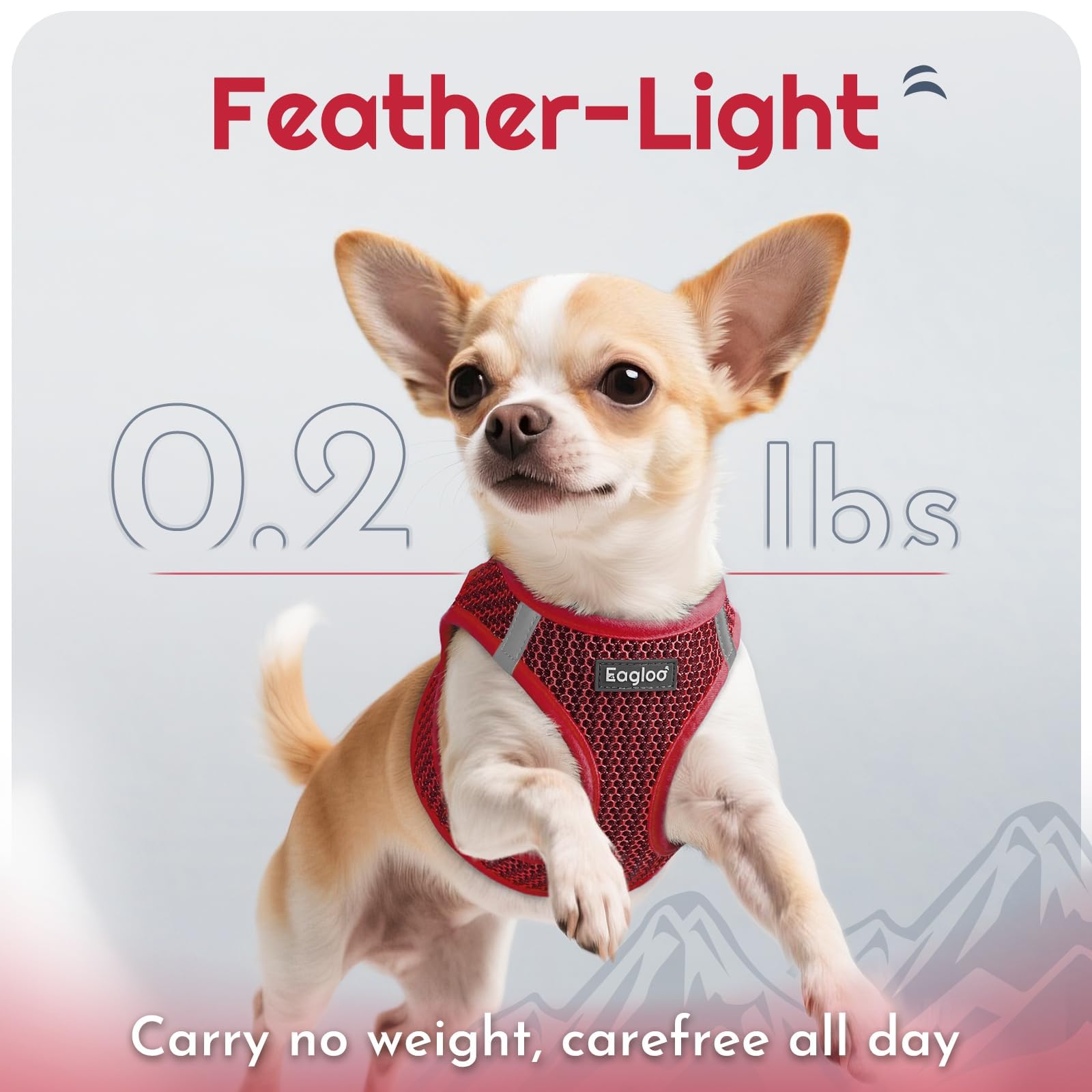 Eagloo reflective bands boost night visibility for safer evening strolls