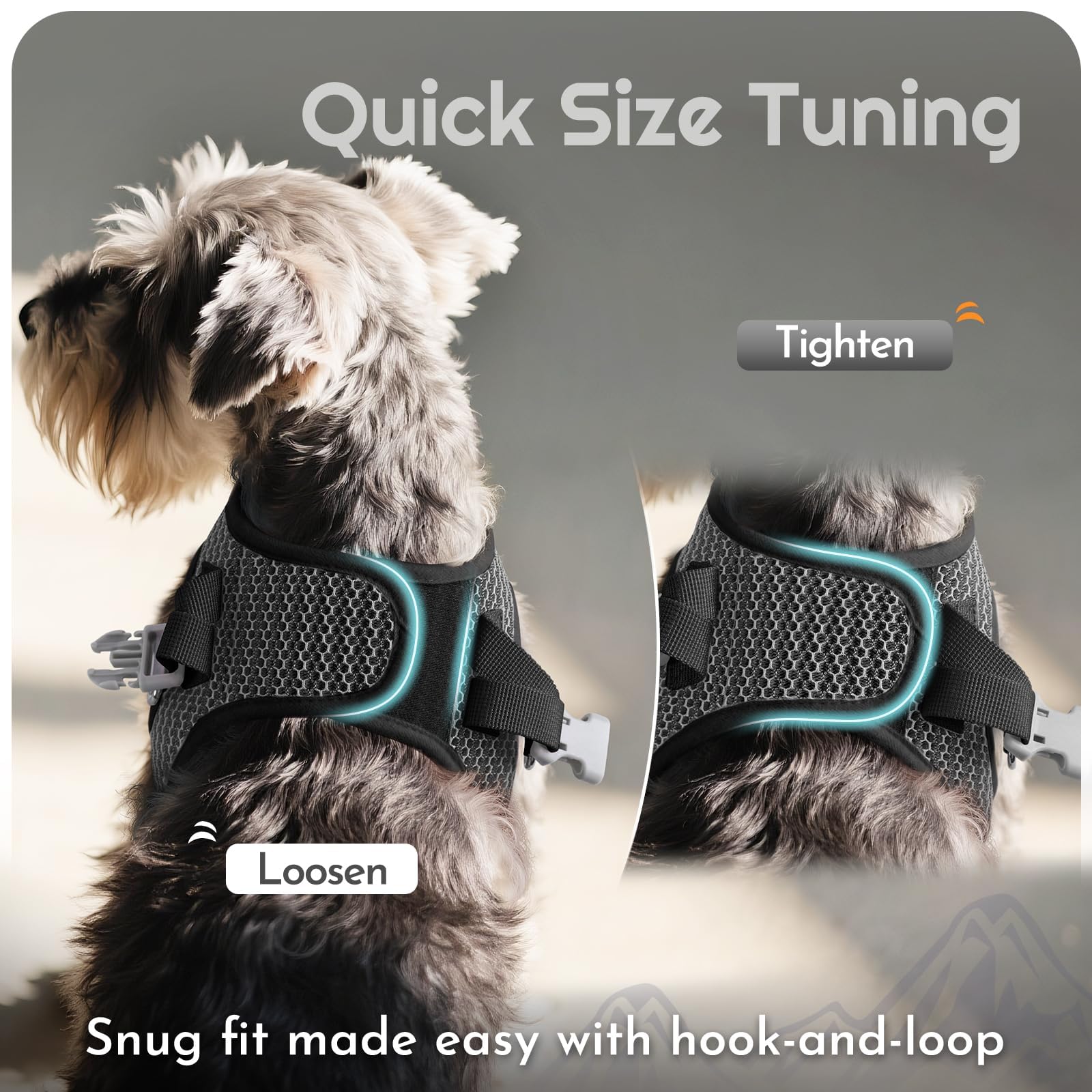 Eagloo size chart image helps choose the correct gray L fit