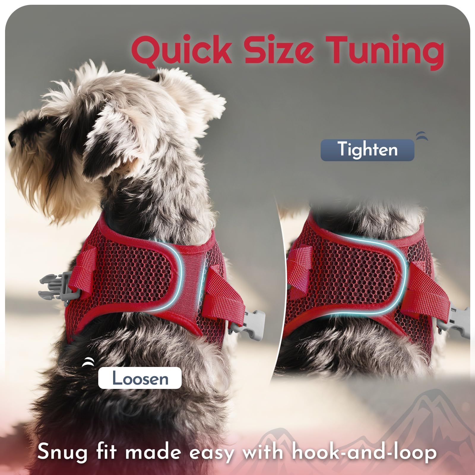 Eagloo size chart image highlights neck and chest ranges for accurate sizing