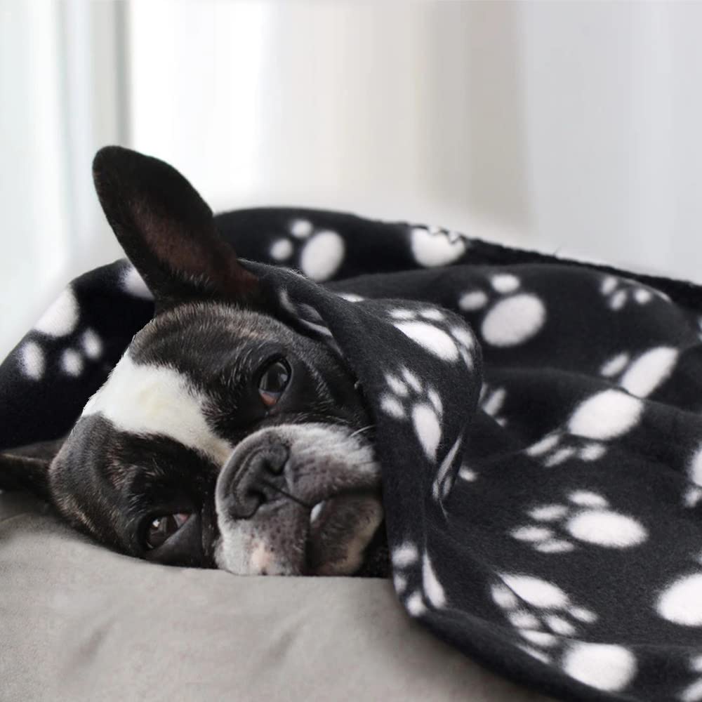 EAGMAK paw-print fleece blanket on sofa for cozy lounging.