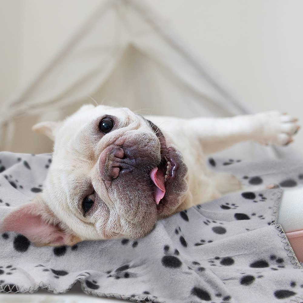 EAGMAK paw-print fleece blanket in red color brightens a cozy pet corner.