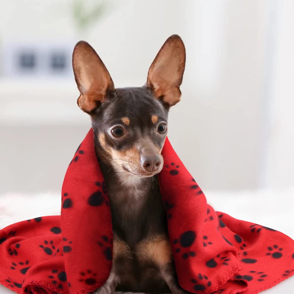 EAGMAK paw-print fleece blanket in white color pairs with any pet bed and decor.