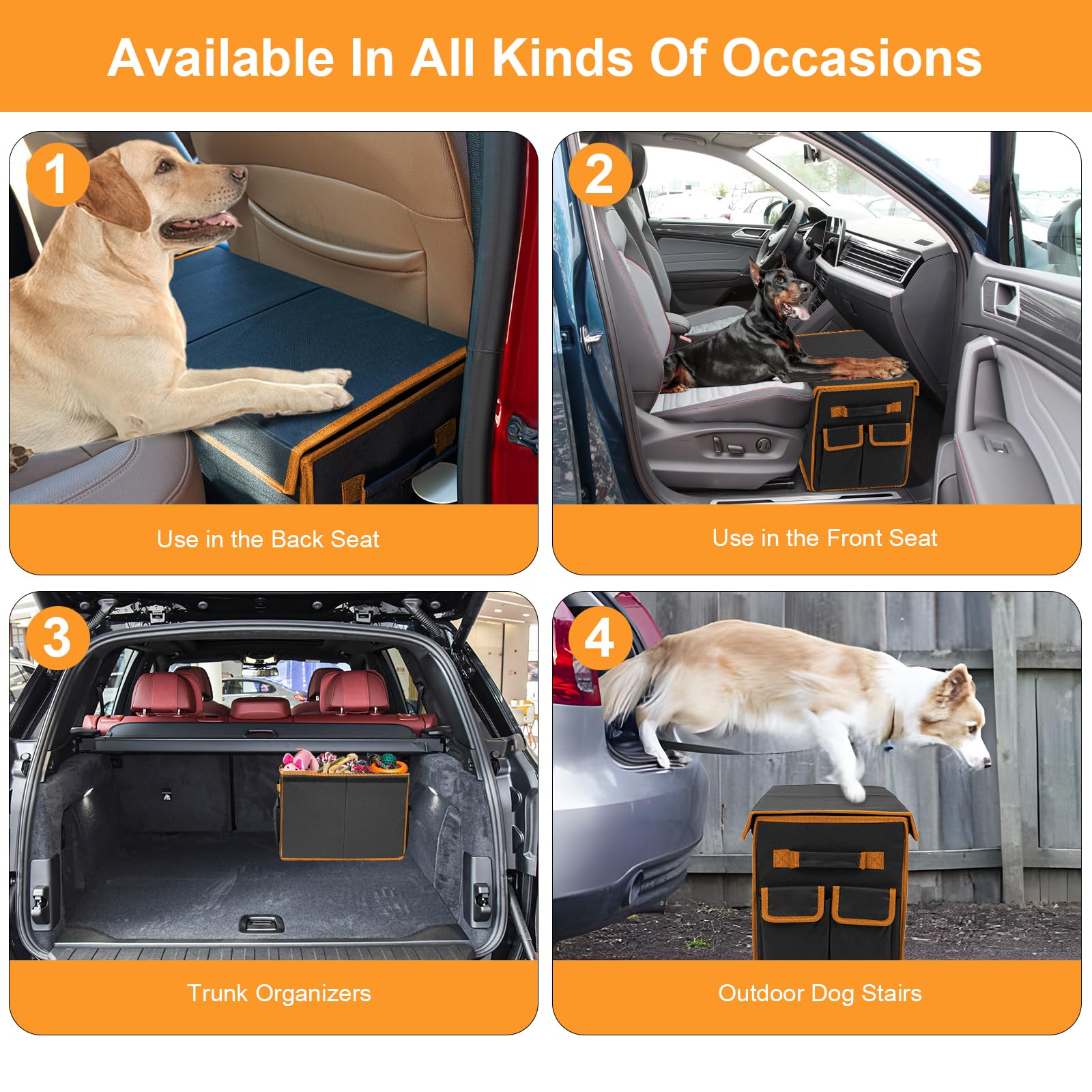 EAROND honeycomb inner board stability confirms strong support for larger dogs on the road.