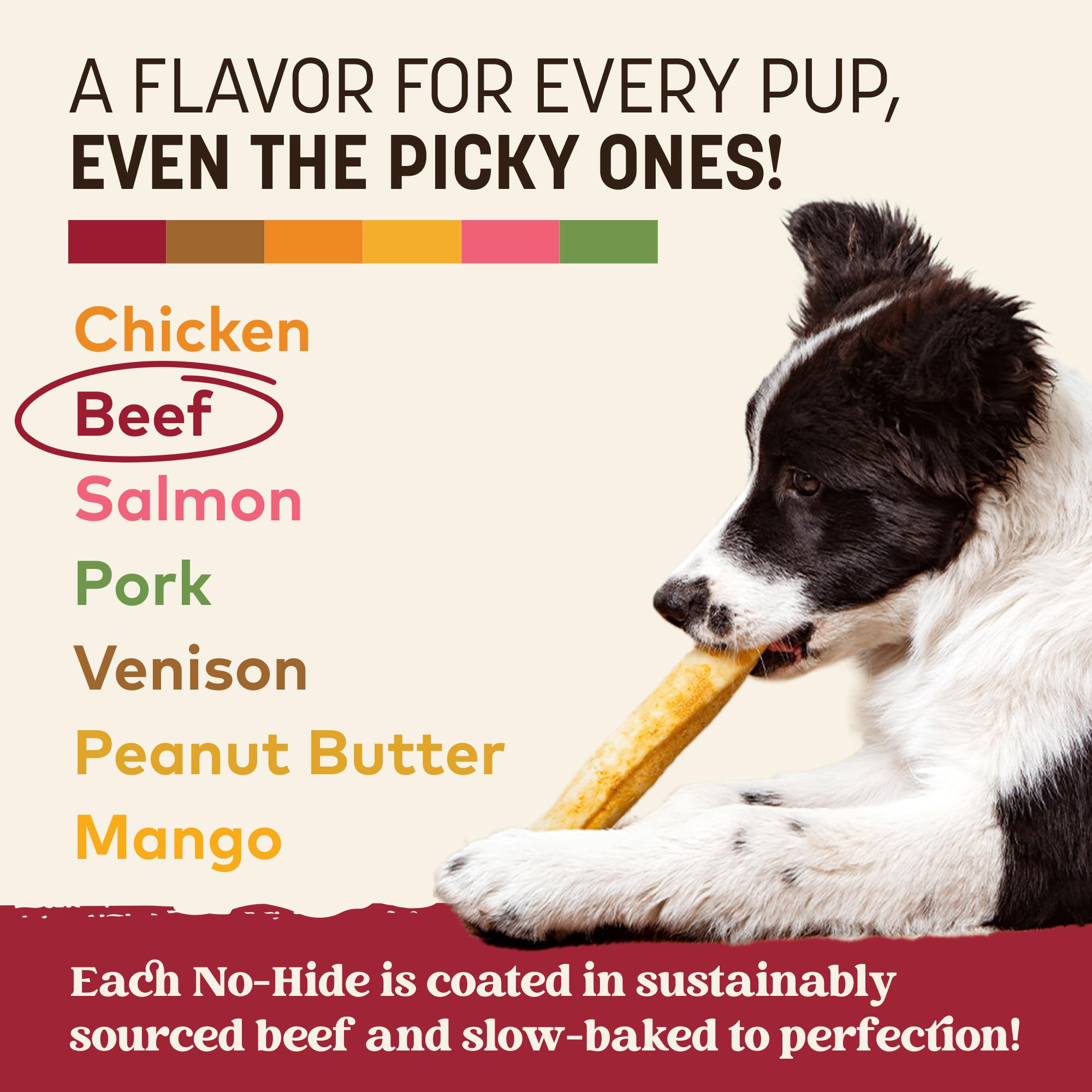 Earth Animal No Hide Chews beef rolls 6-count tray reveal showcases convenient pack