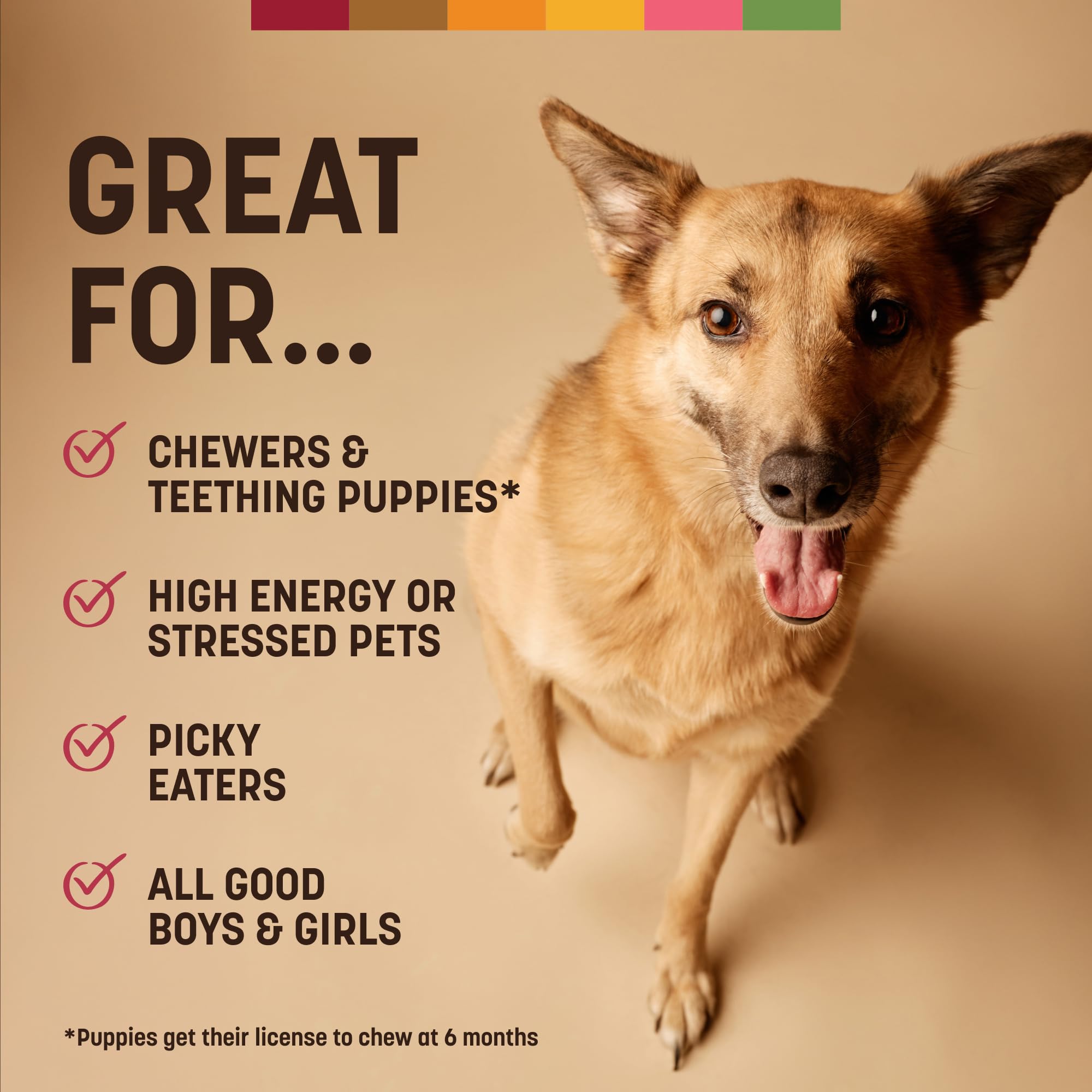 Earth Animal No Hide Chews beef rolls for medium dogs in action supports boredom relief