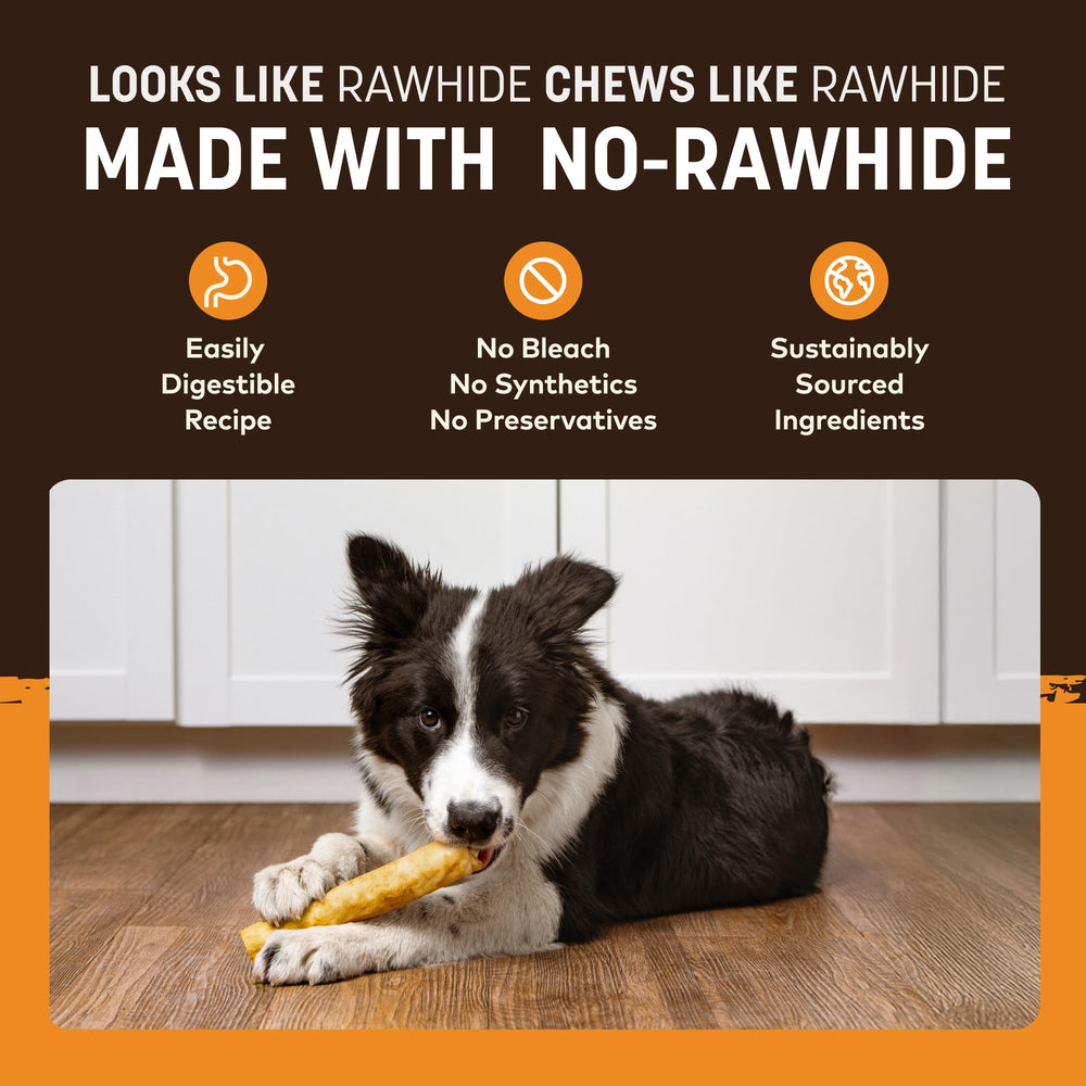 Earth Animal No Hide Chews Rolls dog enjoying chew demonstrates engagement and enrichment.