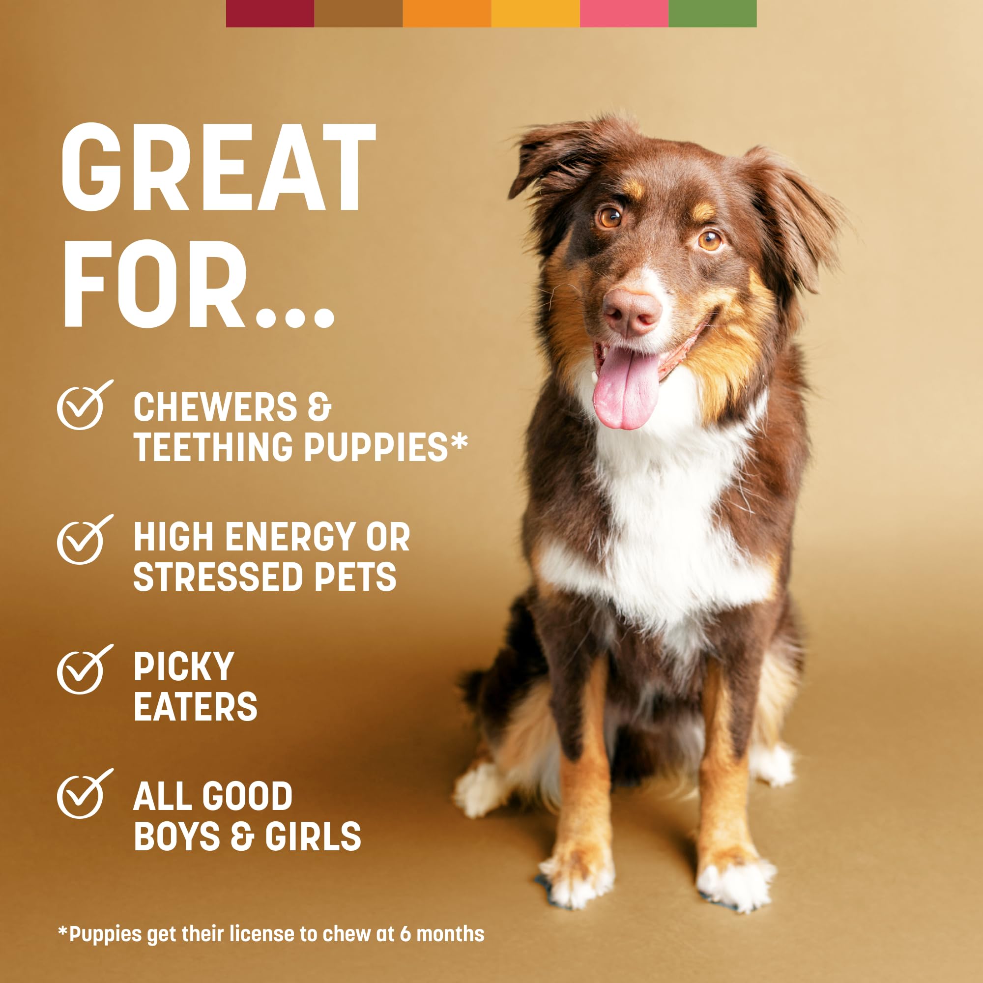 Earth Animal No-Hide venison rolls training setup shows reward-friendly chew time