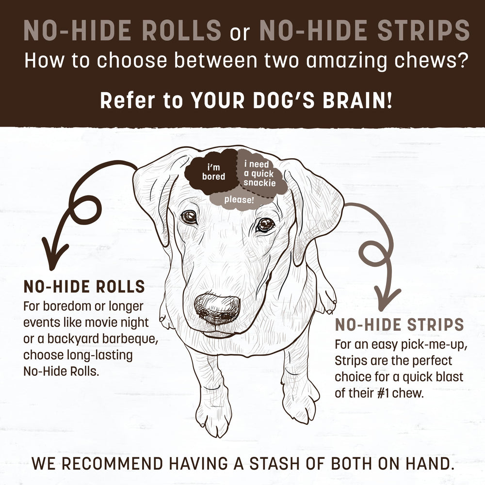 Earth Animal No Hide Rolls dog chew in action