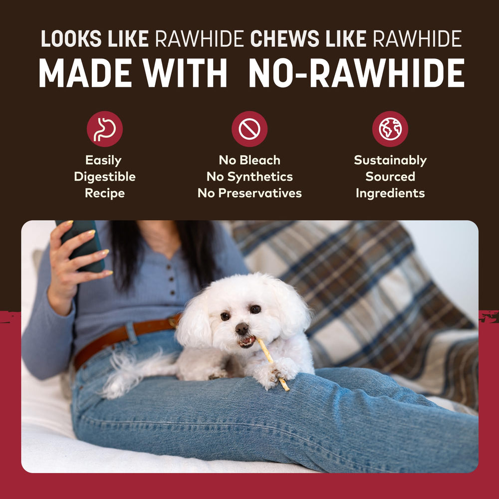 Earth Animal No Hide Stix safety-first chew session guidance