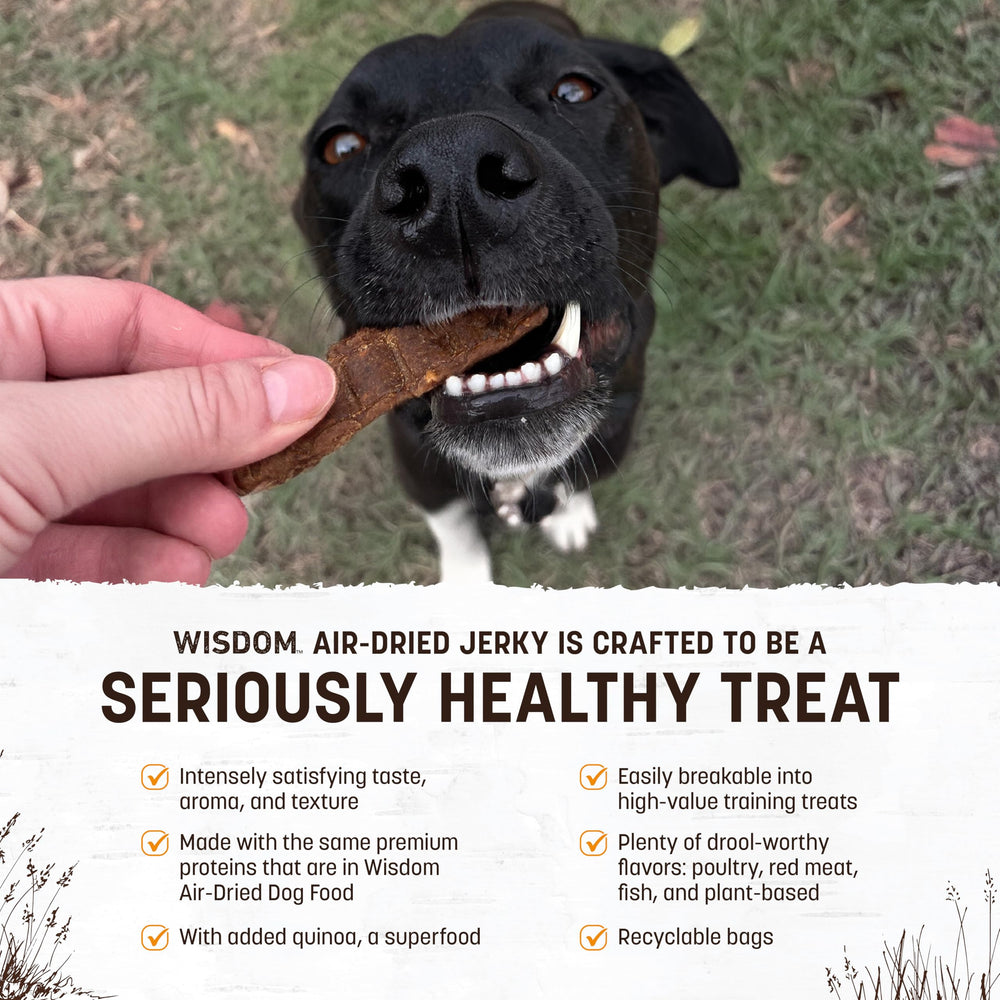 Earth Animal Wisdom Air Dried Jerky chicken ingredients panel highlights GAP rated proteins and quinoa