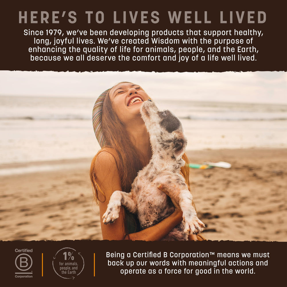 Earth Animal Wisdom B Corp safety controls and ethics emphasis
