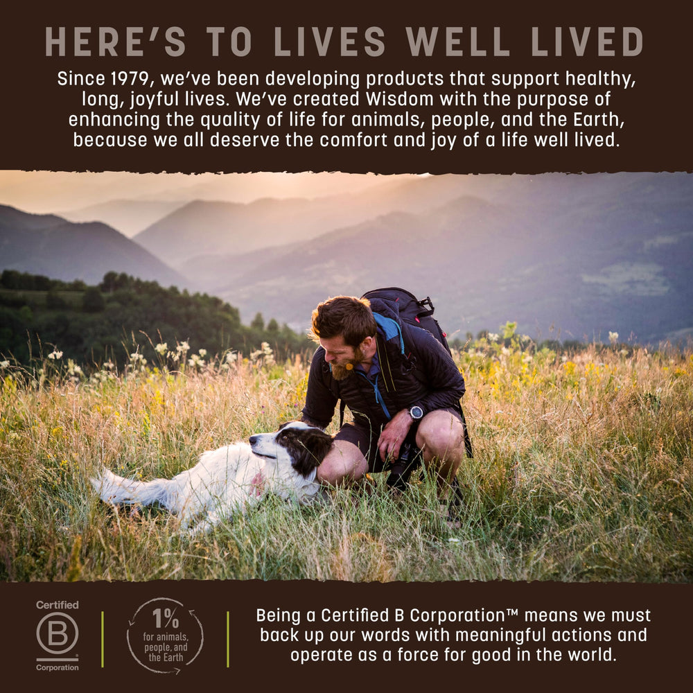 Earth Animal Wisdom dog owner serving an 8 lb bag for easy meal time