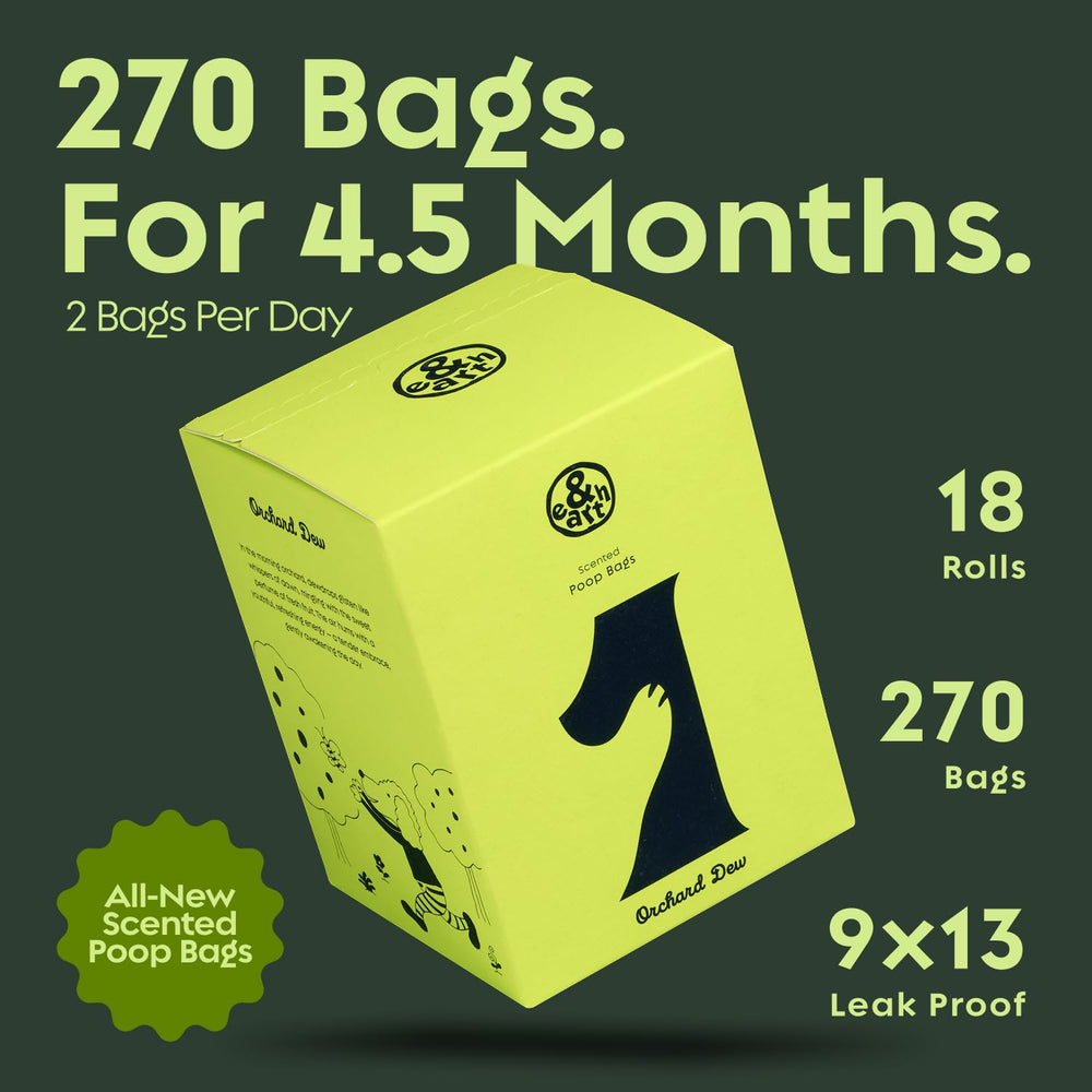 &earth large-dog cleanup with extra-strong bags to prevent leaks.