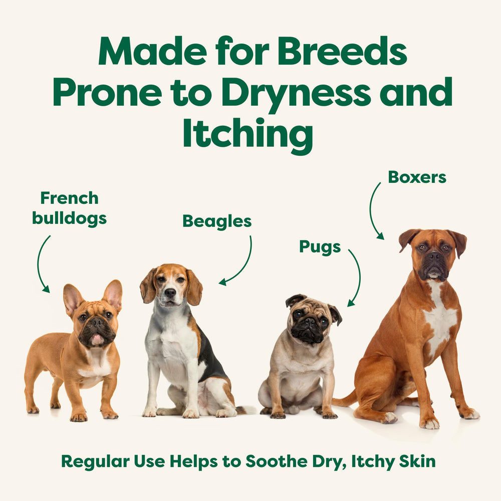 Earth Rated B Corp ethics certificate emphasizes cruelty-free pet care.