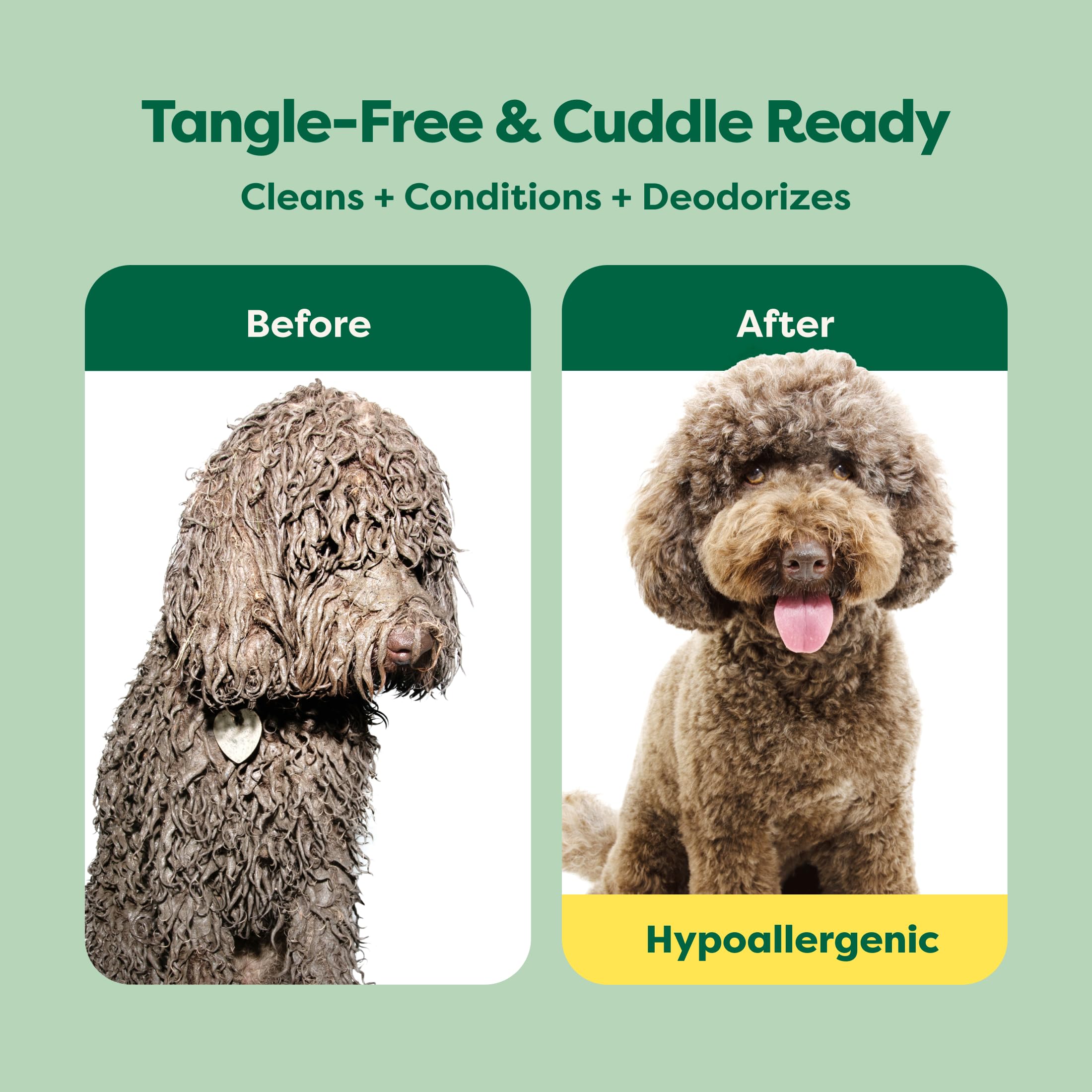 Earth Rated hypoallergenic 3-in-1 detangle dog shampoo foam highlights rich lather for easy brush-out.