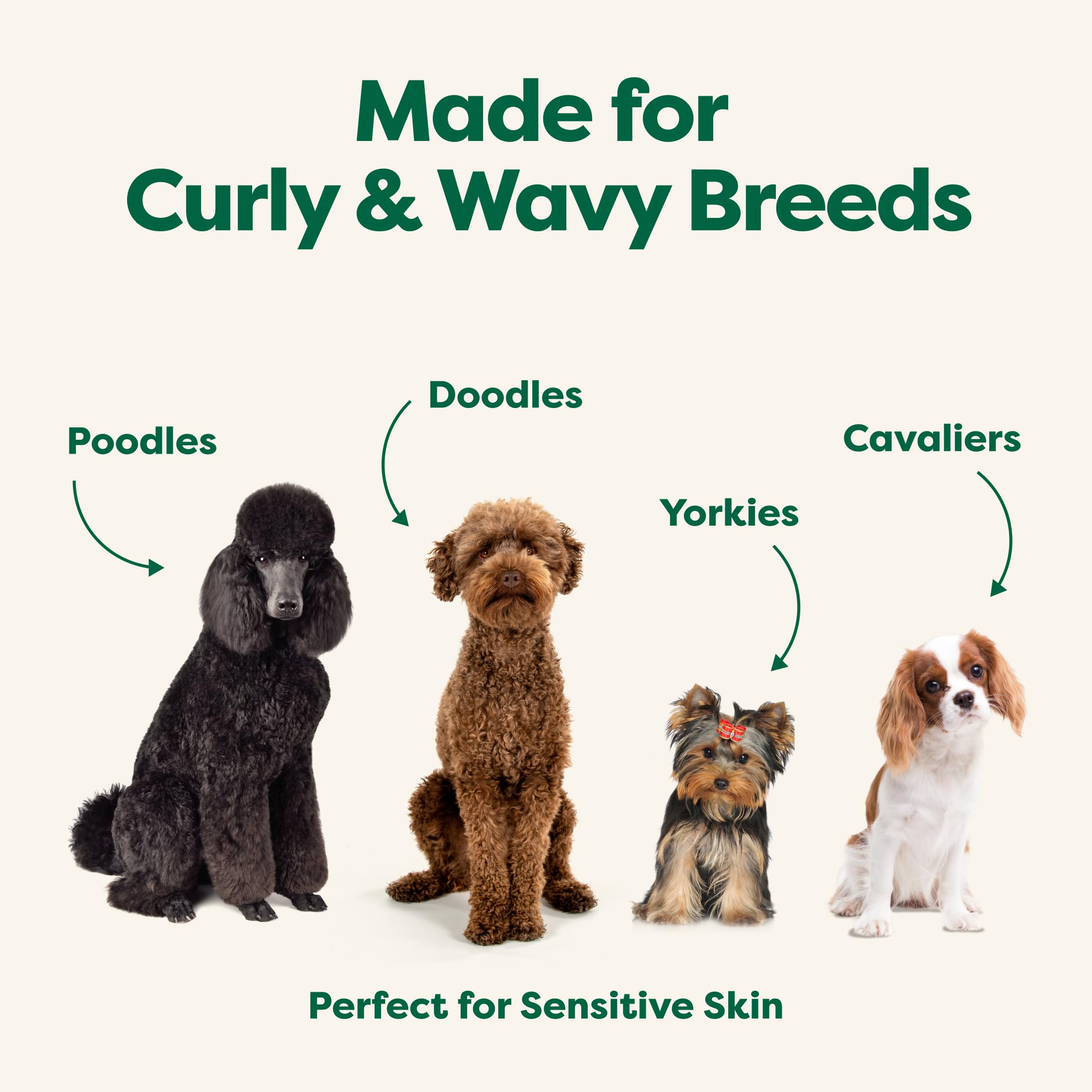 Earth Rated hypoallergenic 3-in-1 detangle dog shampoo bottle with precision nozzle.