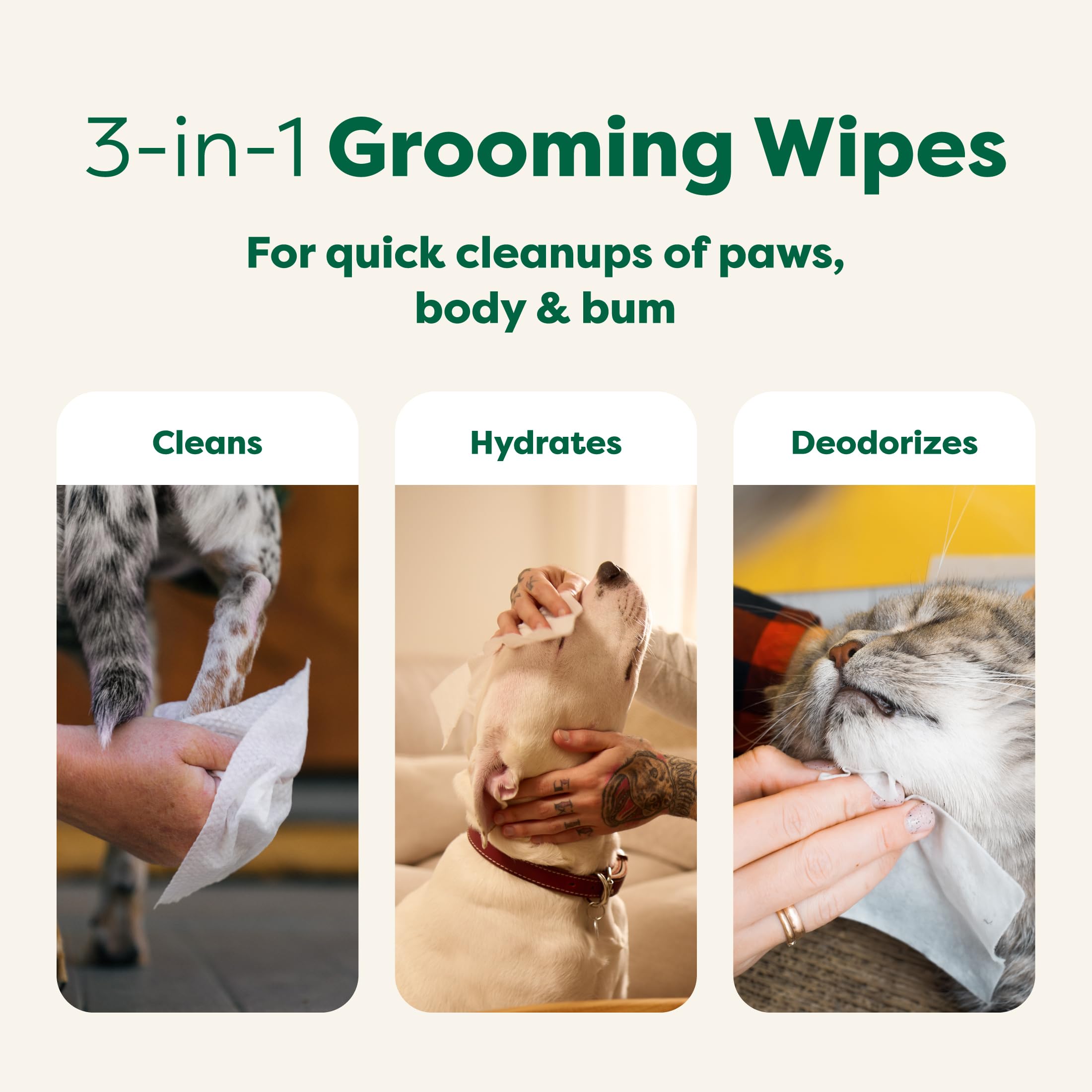 Earth Rated Pet Wipes bottle close-up highlighting aloe vera and shea butter.