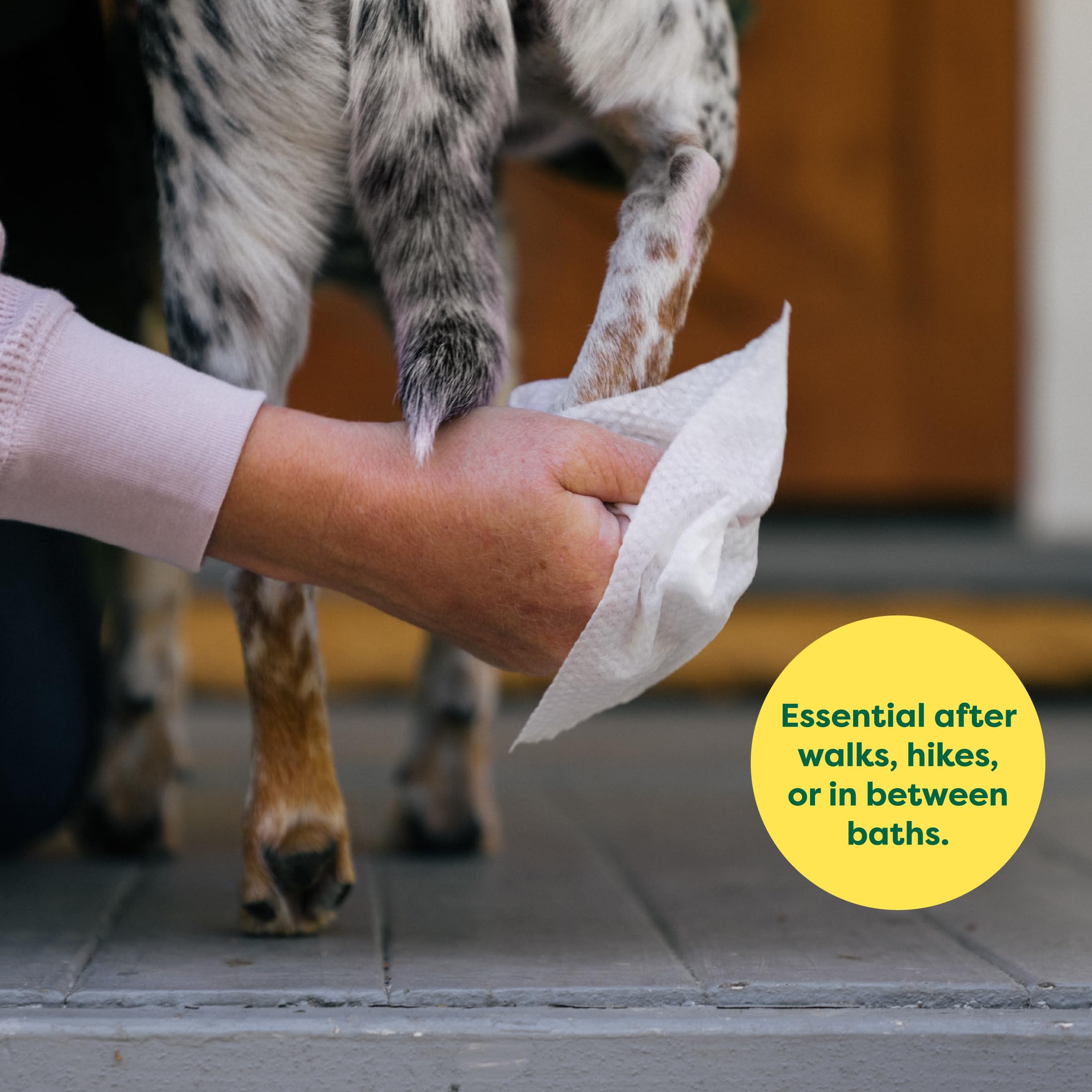 Earth Rated Pet Wipes with aloe and shea for gentle care