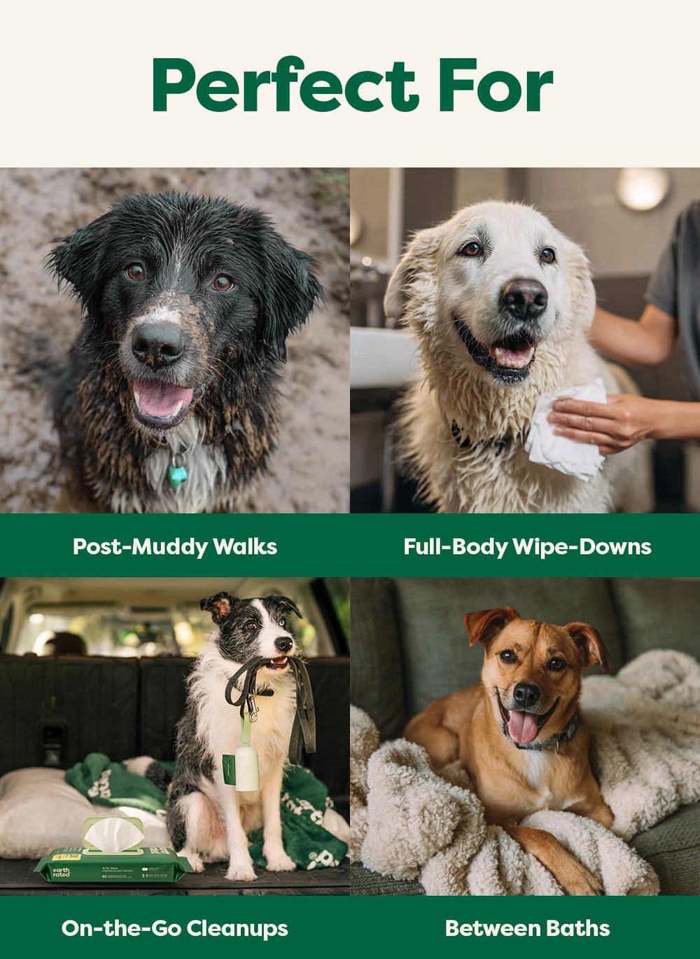 Earth Rated XL Pet Wipes large-mess cleanup demonstrates big-coverage sheets for bigger dogs