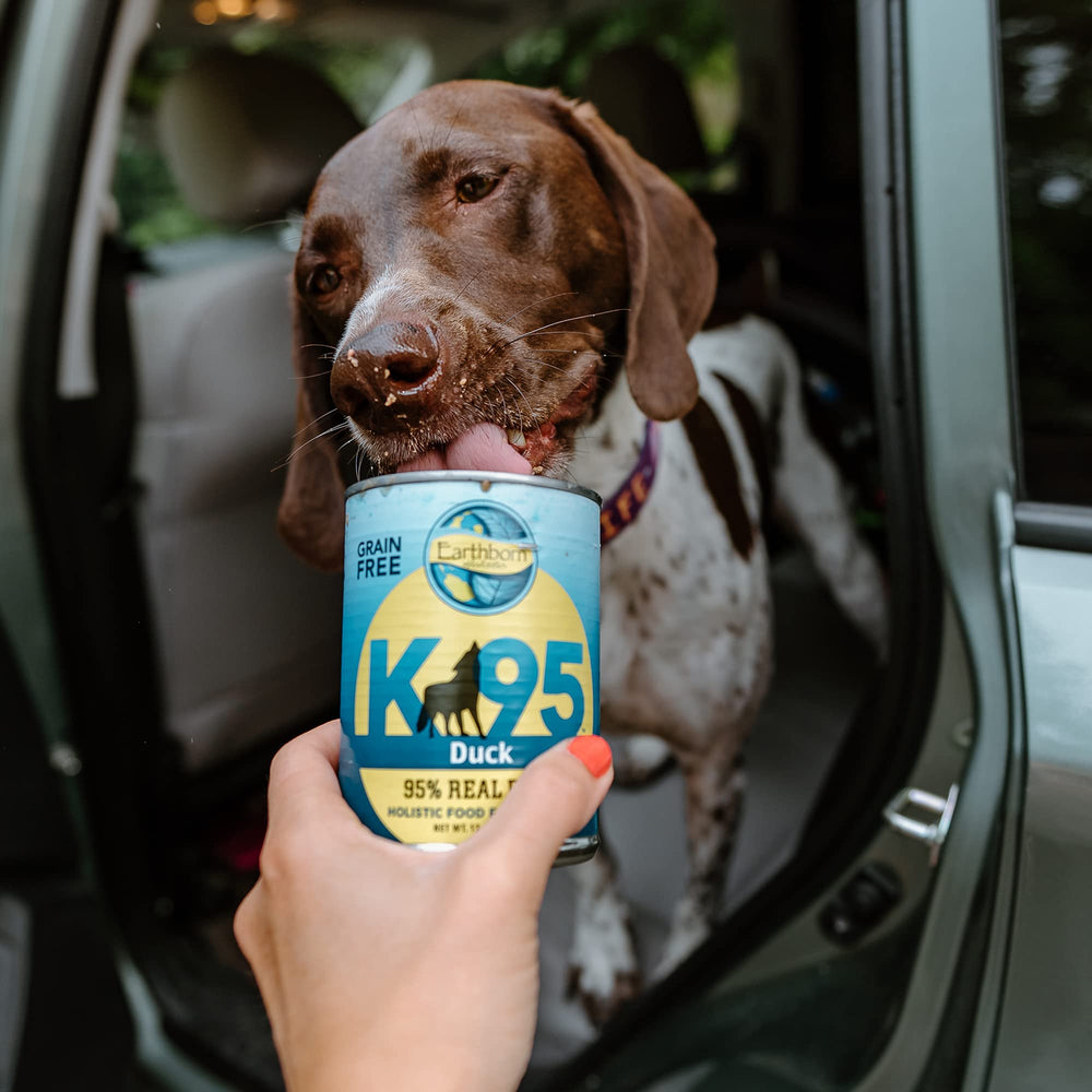 Earthborn Holistic K95 Duck dog-meal-time image highlights easy feeding moments.