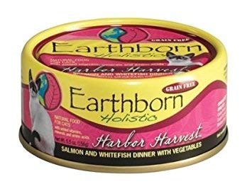 Earthborn Holistic mealtime scene highlights convenient 3 ounce cans for busy days