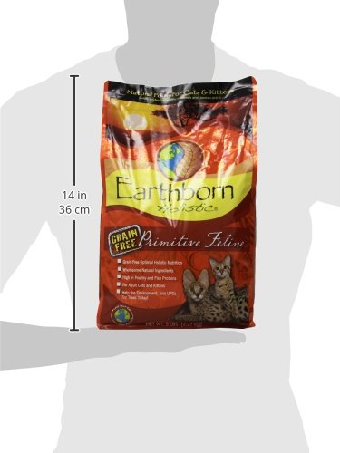 Earthborn Holistic Primitive Feline ingredient map image emphasizing vegetables and fruit antioxidants