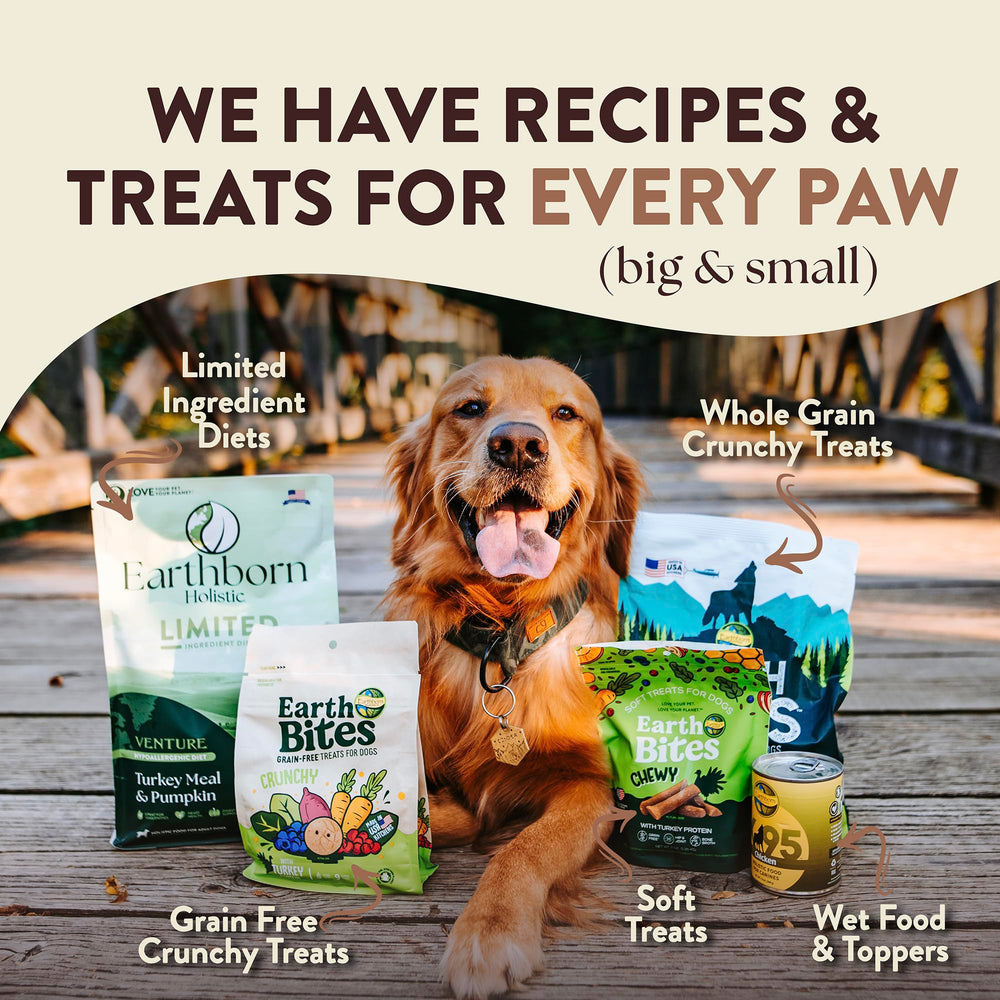 Earthborn Holistic Primitive dog mealtime scene — grain-free dinner option for dogs.
