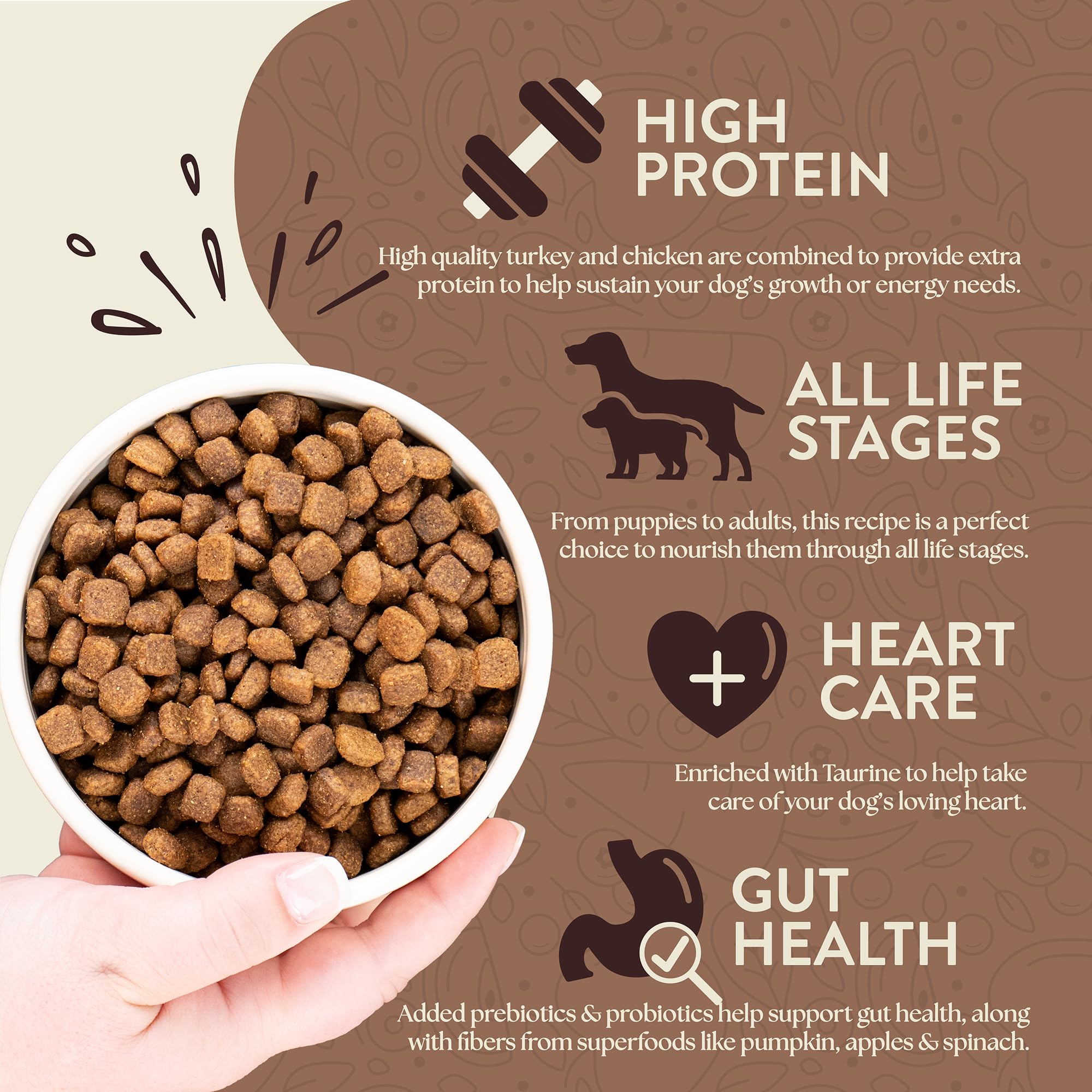 Earthborn Holistic Primitive puppy serving — ideal for growing puppies with joint-support nutrients.