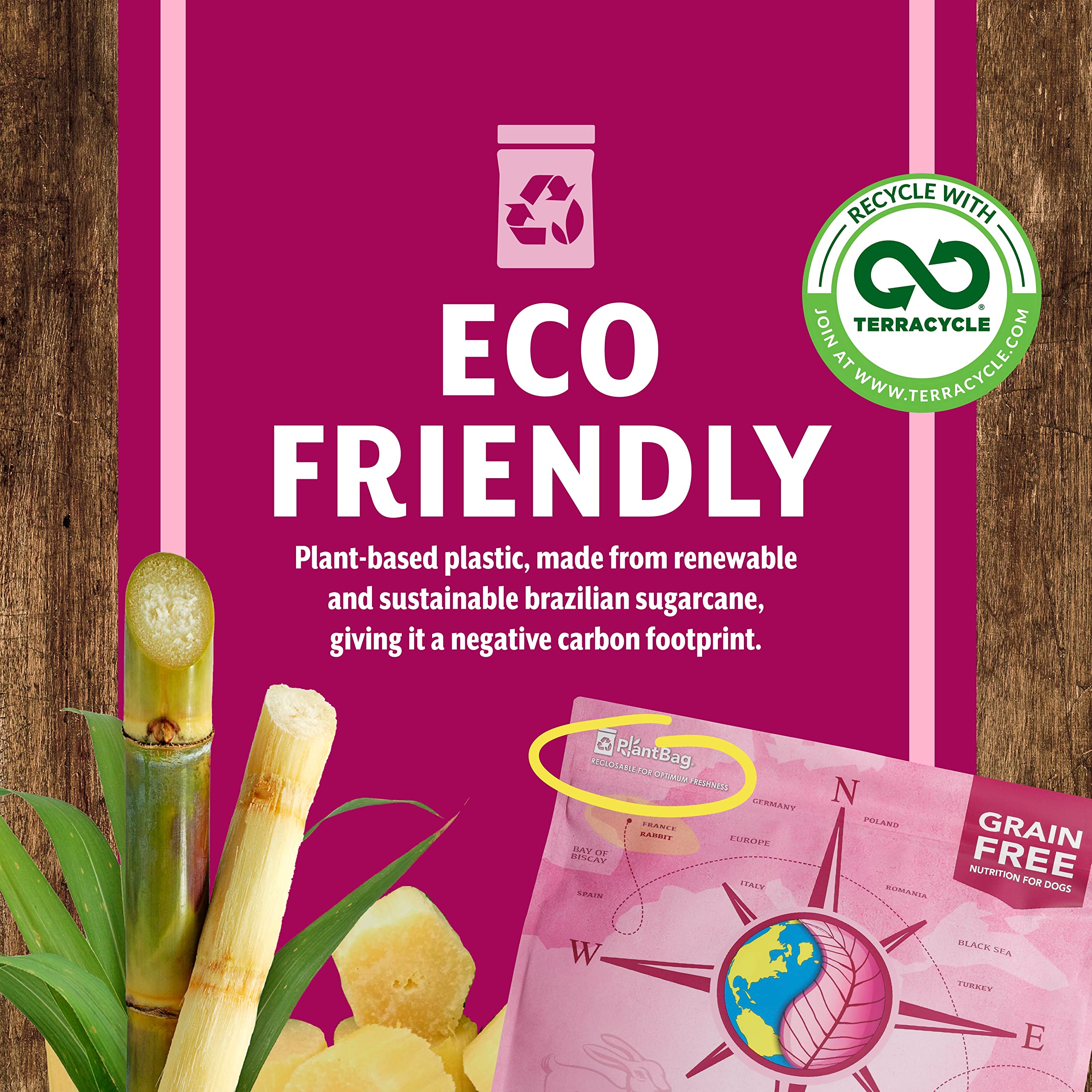 Earthborn Holistic Venture pumpkin harvest conveying freshness and nutrients