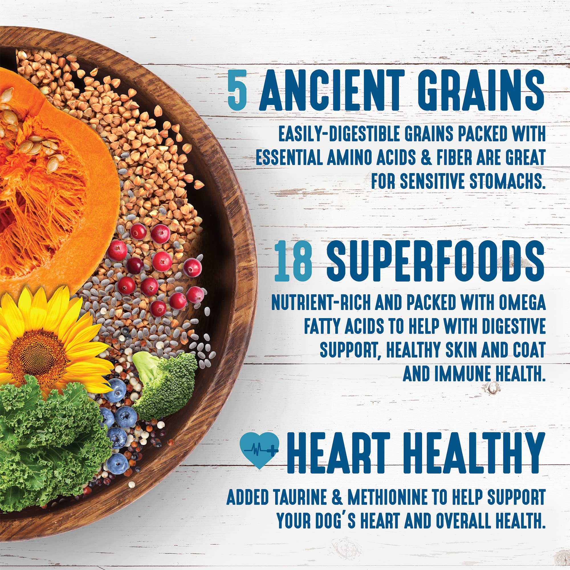 Earthborn Holistic Venture blueberries, kale, spinach and carrots image emphasizing omega-rich superfoods.