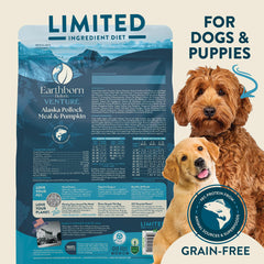 Earthborn Holistic Venture pumpkin kibble close-up shows limited-ingredient formula for sensitive stomachs.